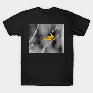 Yellow Warbler T-Shirt